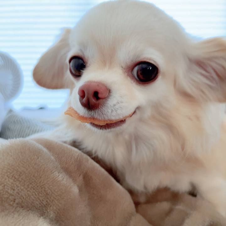 9f0f83ad 11b3 463f 9e77 302308de5ee1 1710979209708