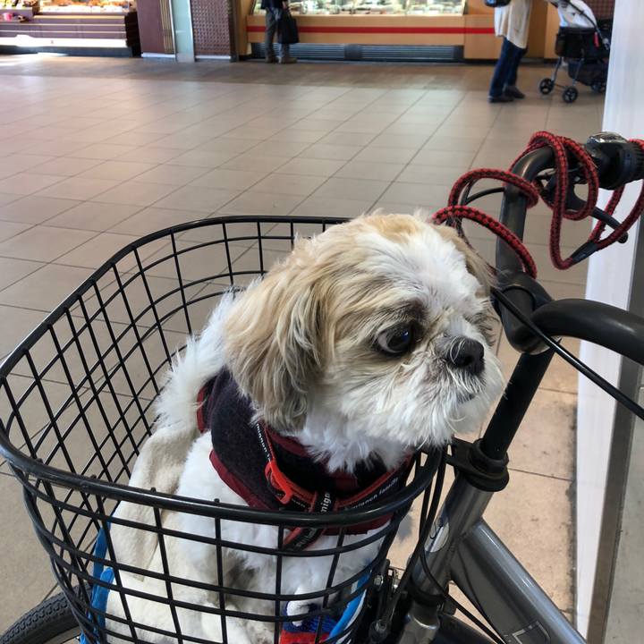 9f0f9a89 807e 42a5 a095 09b2ffdb6e15 1573768231739