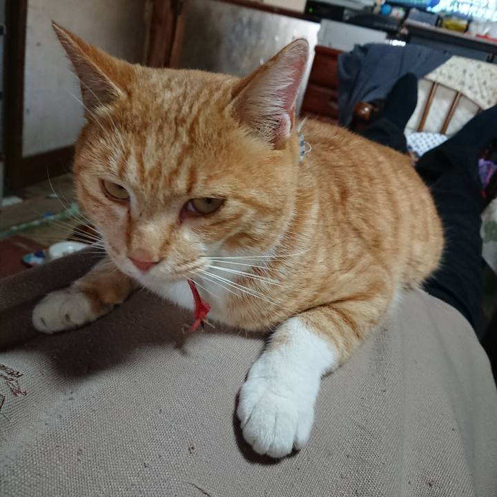 9f0fae48 920b 476c be60 ef89bba19706 1573882897252