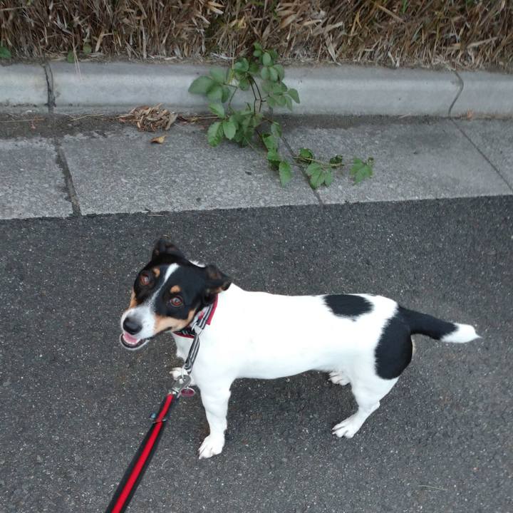 9f0fec0a f2e4 4817 b0b9 410e0f371320 1599784924647