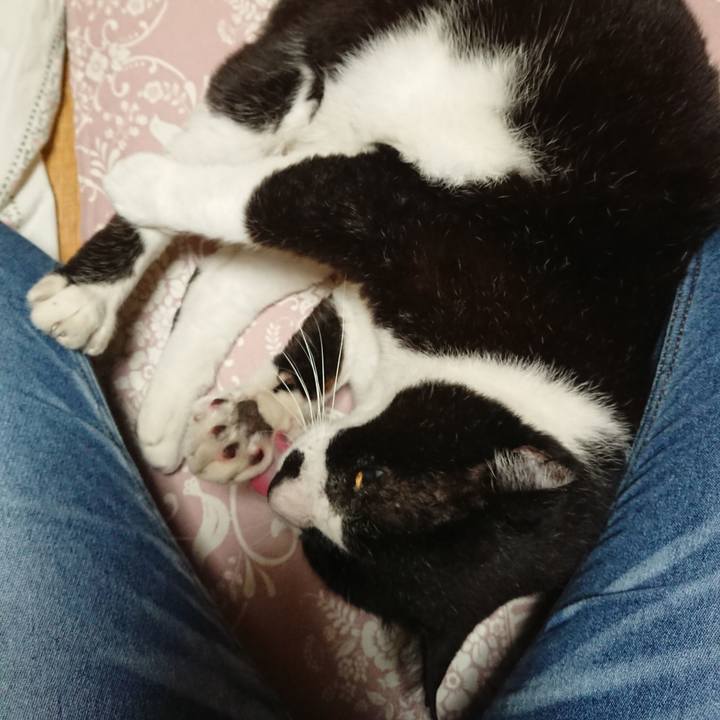 9f0ff7f7 7a65 4a5e b399 63210c4399c7 1634031723519