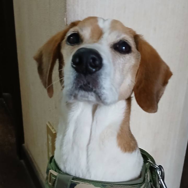 9f10a57b 2814 45a4 8684 85358b111be4 1768740694229