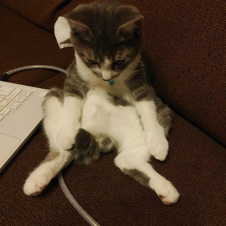 9f10c6bf 65e2 4ed2 867c 2db31fa00ba1 1567524621032