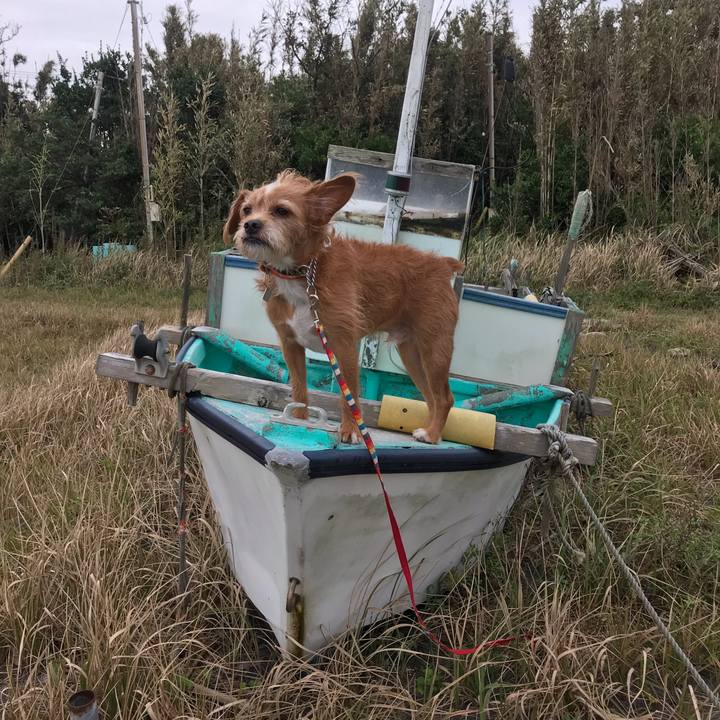 9f10d14b d7f9 4f37 9266 54aae76329ff 1603370003356