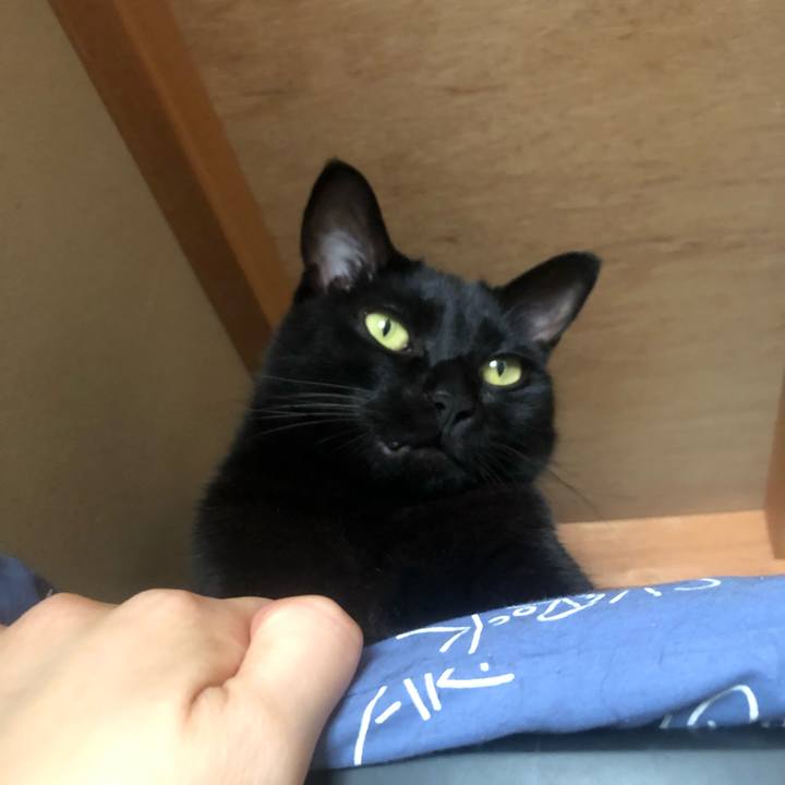 9f10d93b 8b81 46ed 866a a2a658c1e434 1655084270738