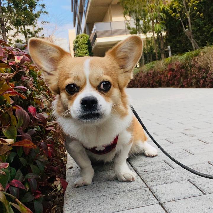 9f1125ba 127b 4a15 ab27 485d726b00a4 1610942141042