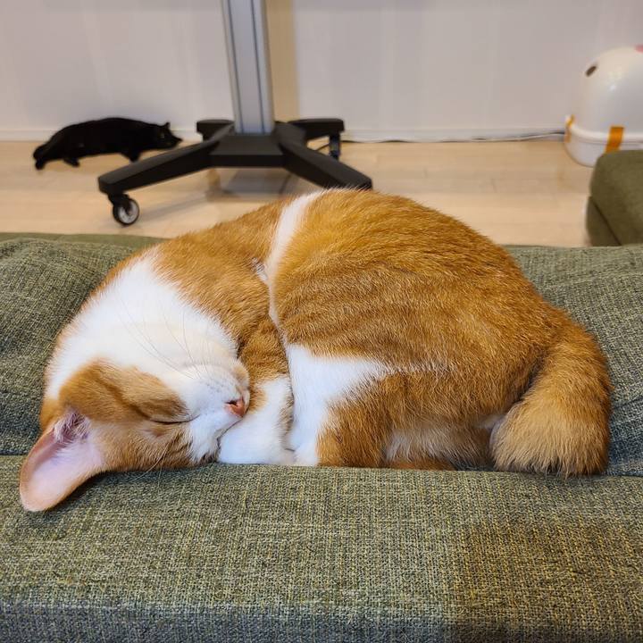 9f115a75 b143 41c2 993d 2a05508ddaf2 1602680185560