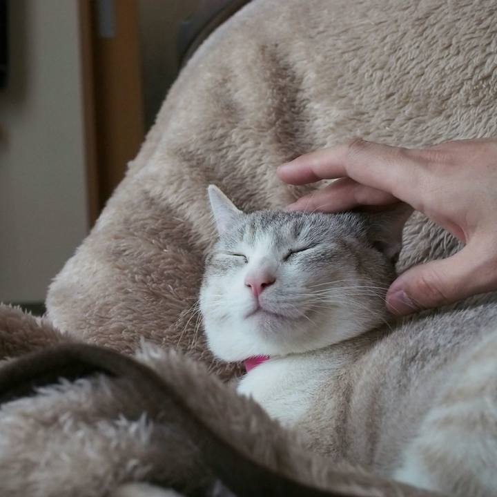 9f117f69 b87b 48f5 a30e 47319ae779a1 1520480538577