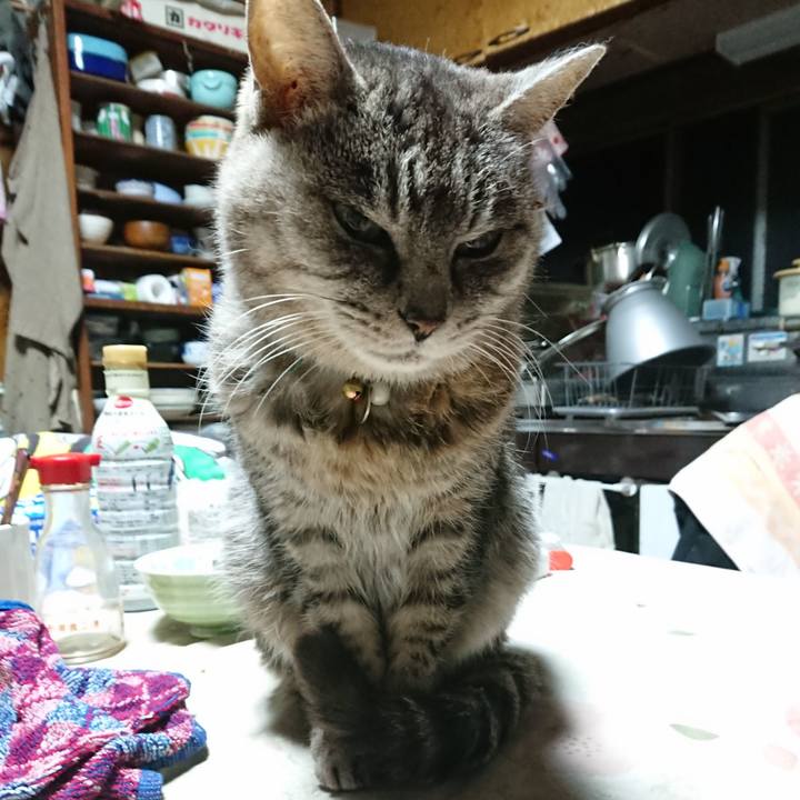 9f11a99b 504d 4ec6 b426 7f986f7d8b09 1577737873077