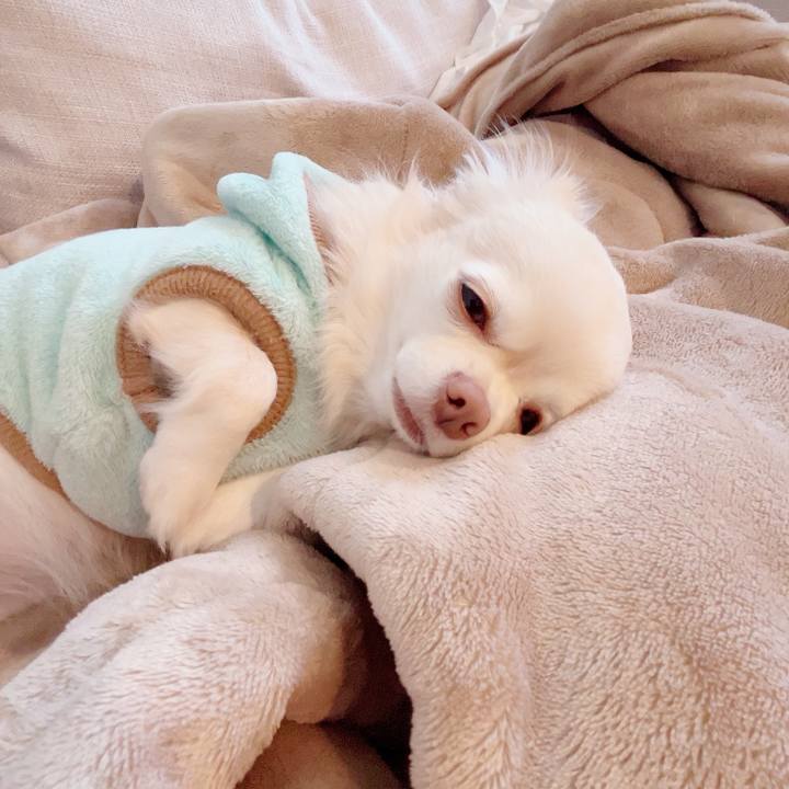 9f11bd60 bba3 47e4 b04b a2dda49b1645 1732661341967