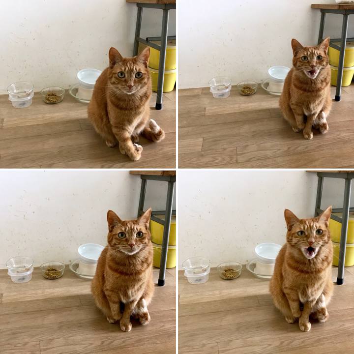 9f11c83f cb3c 4e4e b43f cbbe94397d76 1524715825958