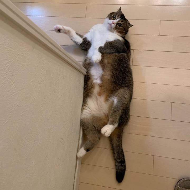 9f11f155 1d51 4667 b770 90d1c7709b11 1571067534494