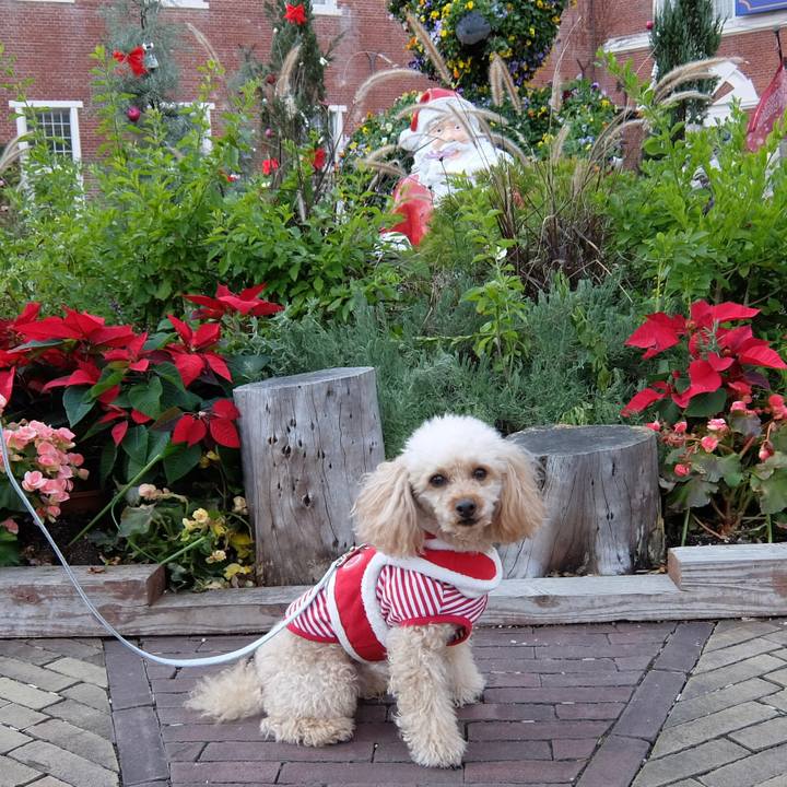 9f11f560 05db 4153 bea0 8f963596d253 1639738070465