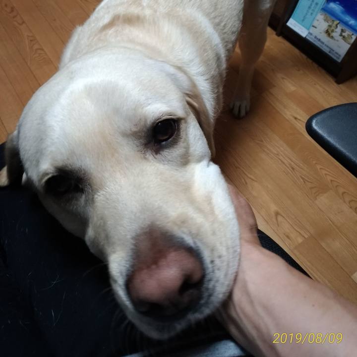 9f120411 19dd 48d9 bd9b 6db5e1e8e7d1 1565351341058