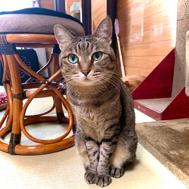 9f1229bc ca51 451a b88a 6fad2962b91f 1591325563805