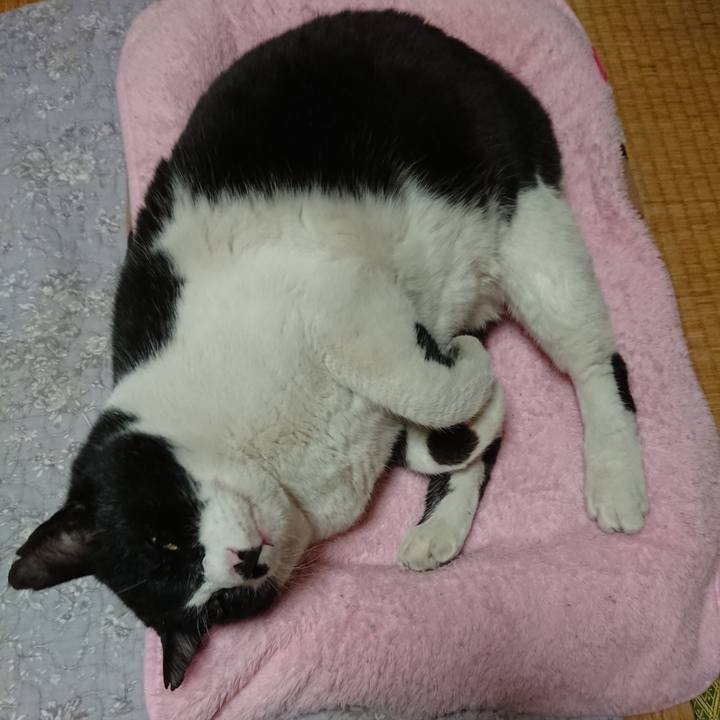 9f123076 59ec 4453 9439 d578e93185e7 1641721904766