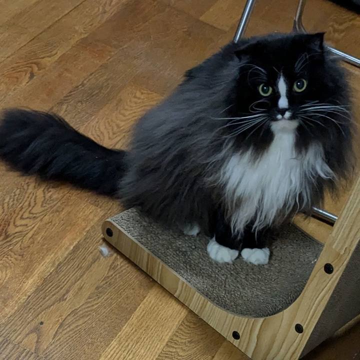 9f125fb4 9533 4aff 8d8d 9eafd3e930f9 1733918542296