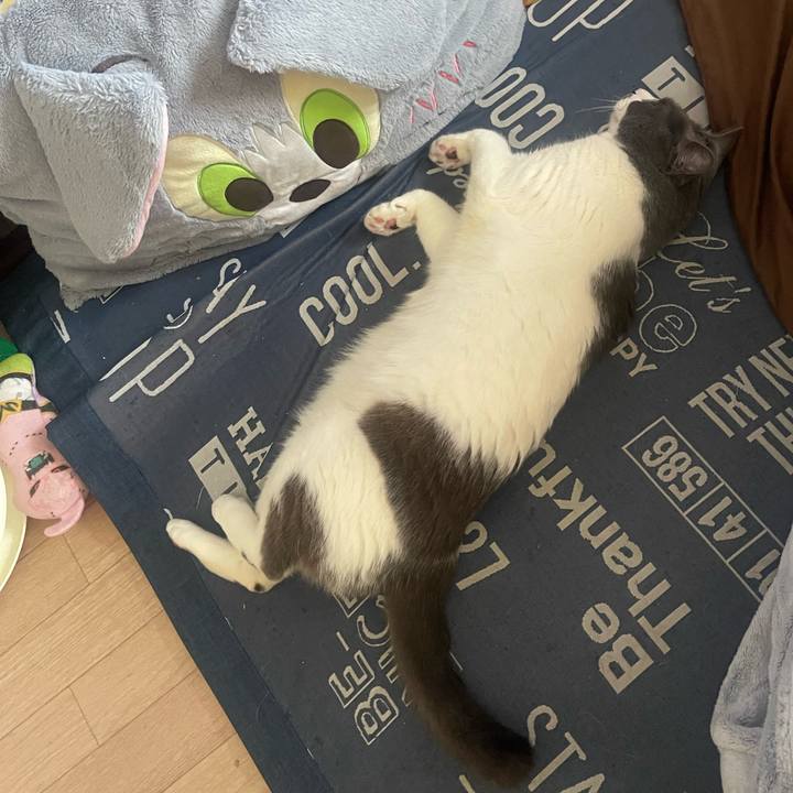 9f126f5e 4ef3 4de7 82cf 04fd86acbb37 1745016413612