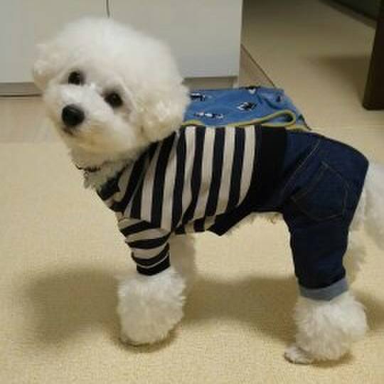 9f12869c 0917 4fc9 bc4d feeedd204d25 1510196905997