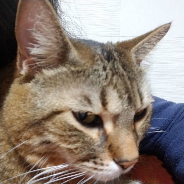 9f12b5f7 8915 476d 99f1 c4399b6764f1 1582720428304