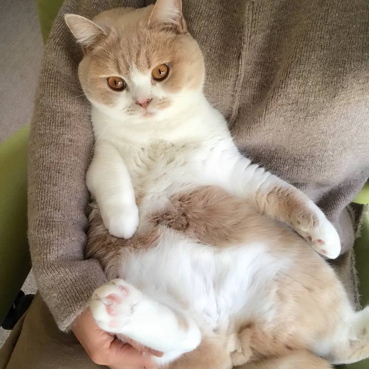 9f12b771 8b51 47e9 8eef 0f9e50461a34 1513556460993