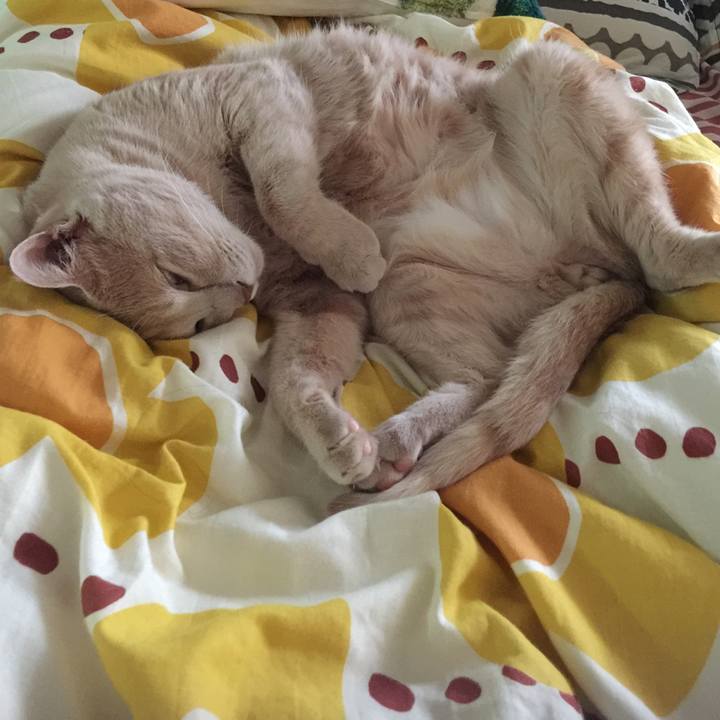 9f12b8a4 1dfa 4a93 a5a8 f72d957be033 1617187248533