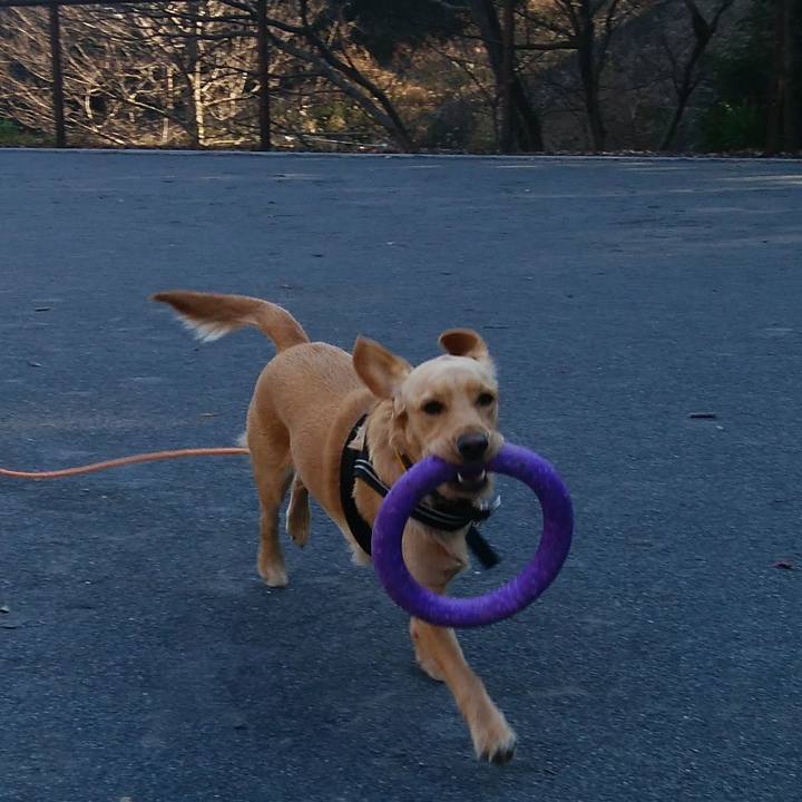 9f133267 b5ff 43f1 b64b 85de66036acf 1515724983283