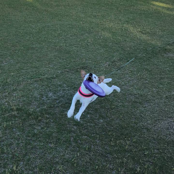 9f135da9 723b 440b 92fa 53590c2f041c 1526732277206