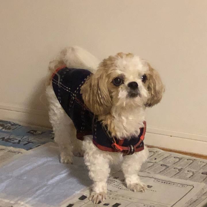 9f13b20a e9ae 47e3 969d e169b9e1ef1f 1634956392778