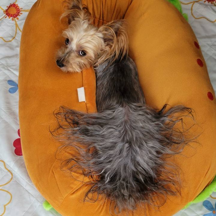 9f13c102 5fad 4b87 9e01 5a7d311ff57c 1660180720802