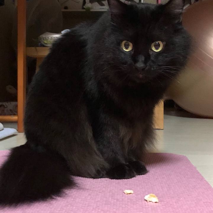 9f141889 169f 4903 9c64 888055ed9ef8 1512906742097