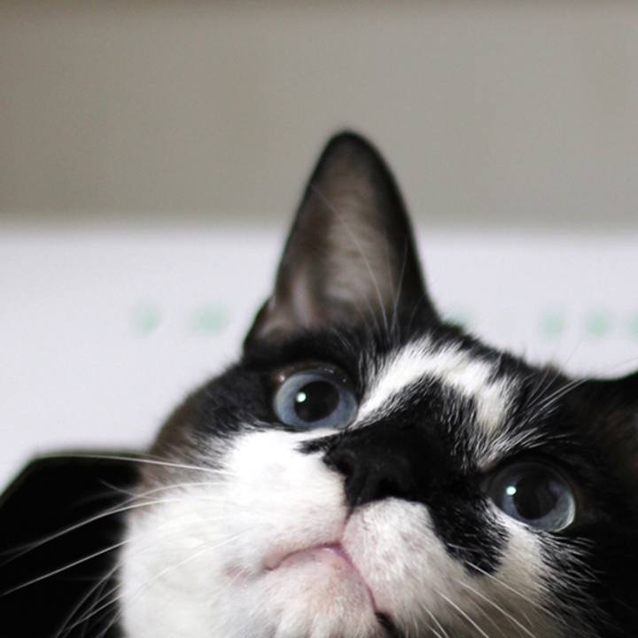 9f1423e7 c5fc 4f4a b546 ba68c6bc2549 1522718858599