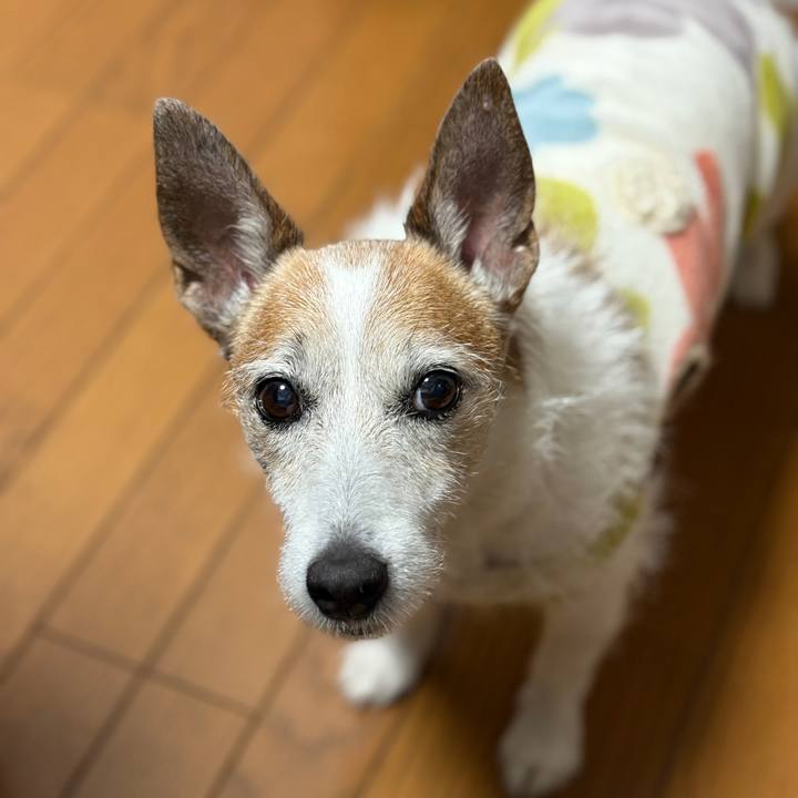 9f145a3a dbd0 427d 9bbd 46935f487105 1747524902663