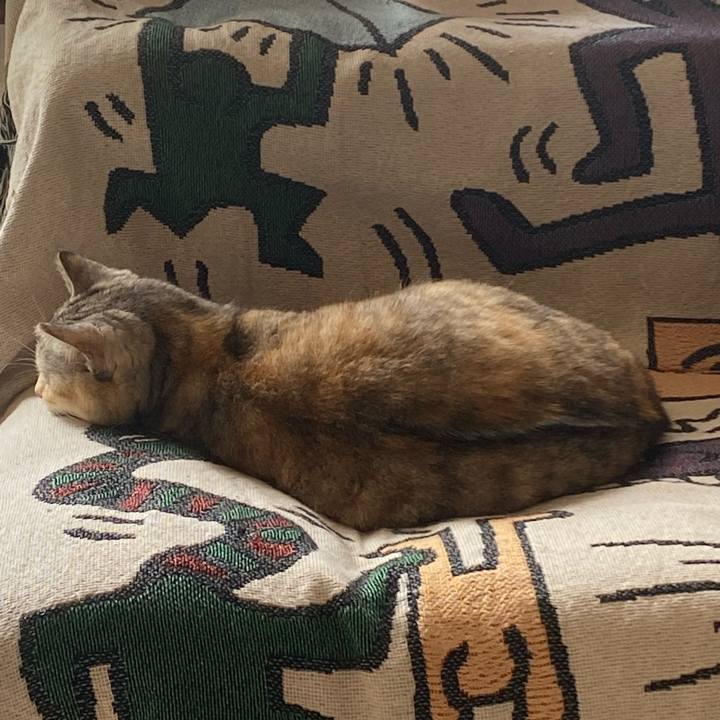 9f149e84 80a8 442b 91dc 93e68a1fb417 1712977075092