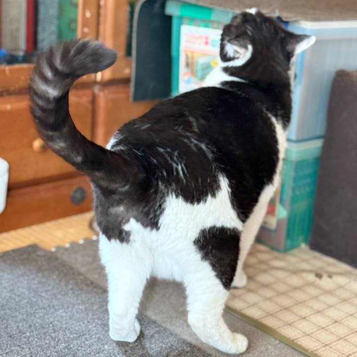 9f149fc8 94ce 4da0 aa42 a069e78bef89 1748829863937