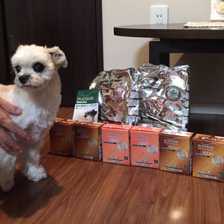 9f14bc43 2384 4e3a 928b f23367e671cf 1539560701582