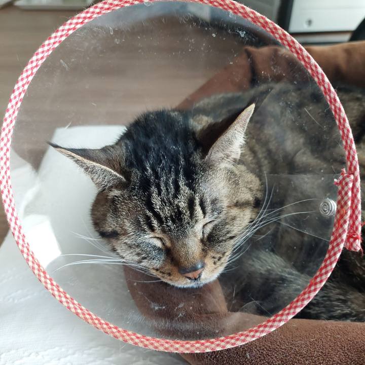 9f14c9df f03c 4344 b067 1bc37eda3731 1675490547138