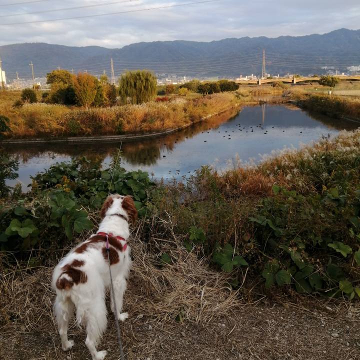 9f14e897 5a21 464e ad4b ee7e0622cf56 1605261553241