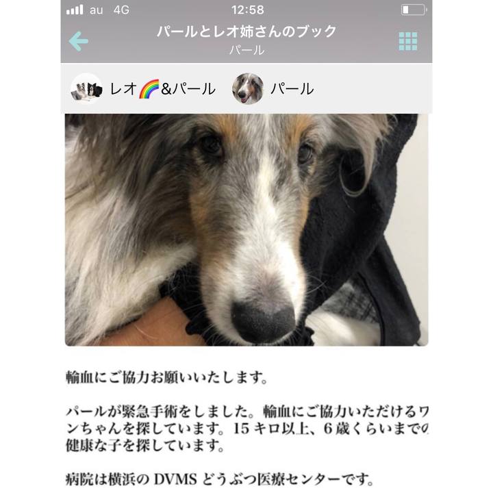 9f14f46f 6440 47e6 9f58 da063e63dd25 1537761937936