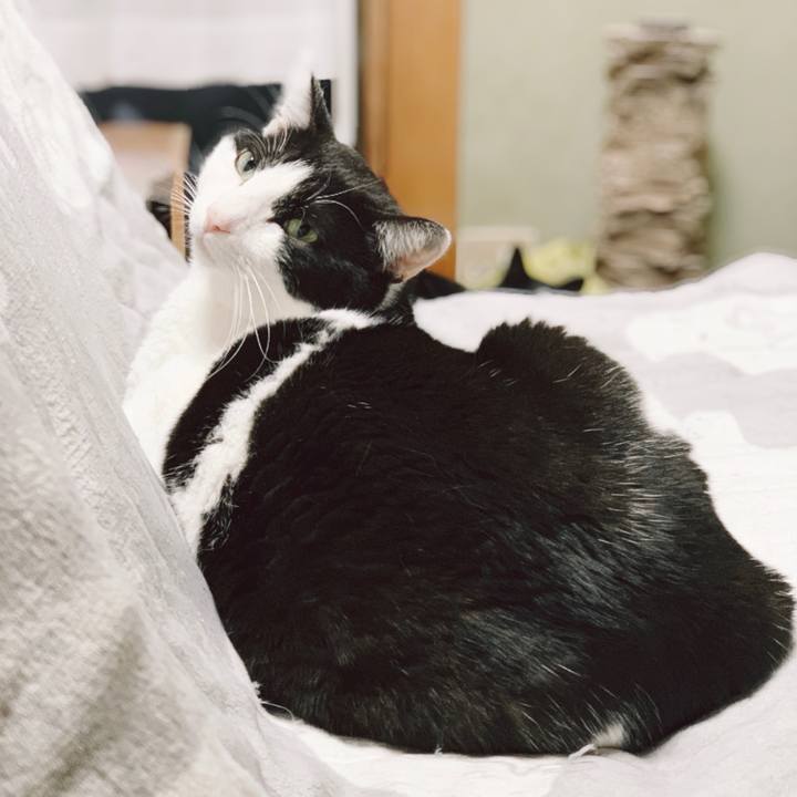 9f157907 9817 48a4 ba75 9ded05291490 1555295077525