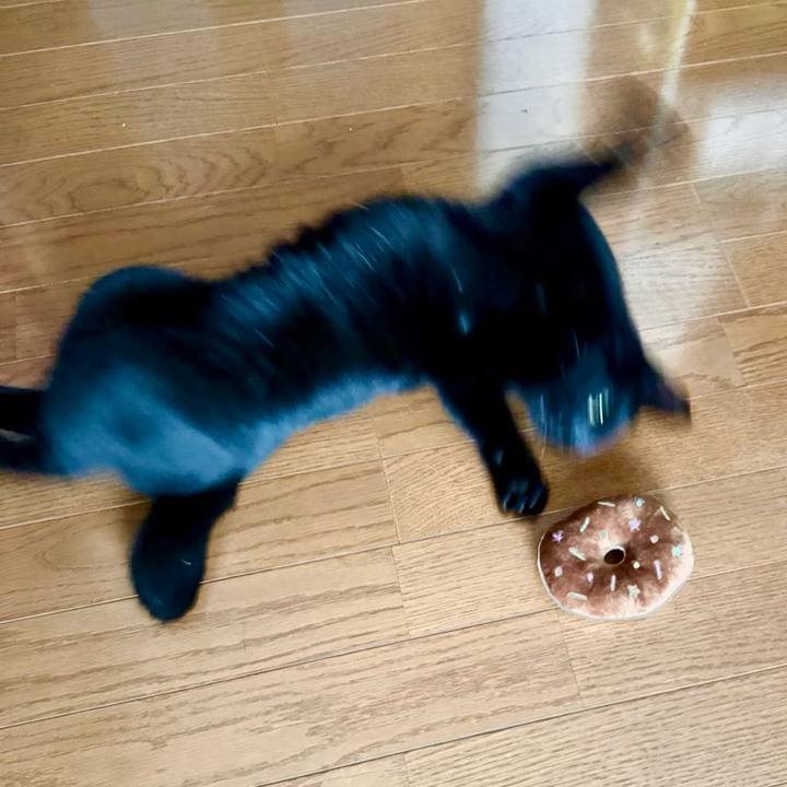 9f159783 951f 4067 a519 90f1e0e7bc71 1736725498812