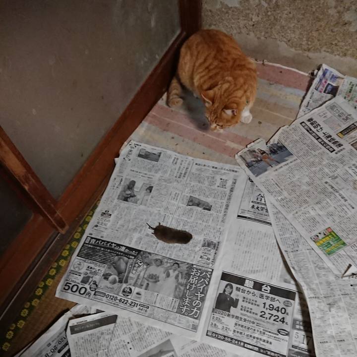 9f159bb6 0073 409b a5dd 995019fb4feb 1584781573556