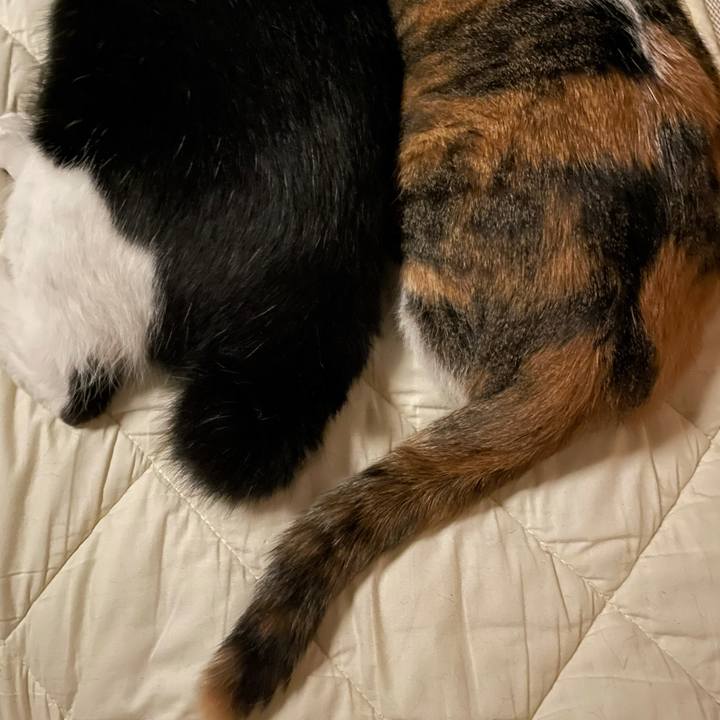 9f15c686 d369 46bc 8e2f 521a6da3bbf7 1627918514001