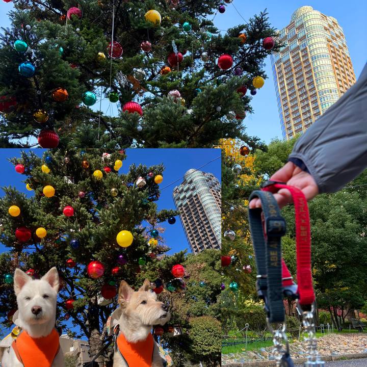 9f162a8e 0dd1 43c8 9a90 c7ebe7ecae66 1763358267516