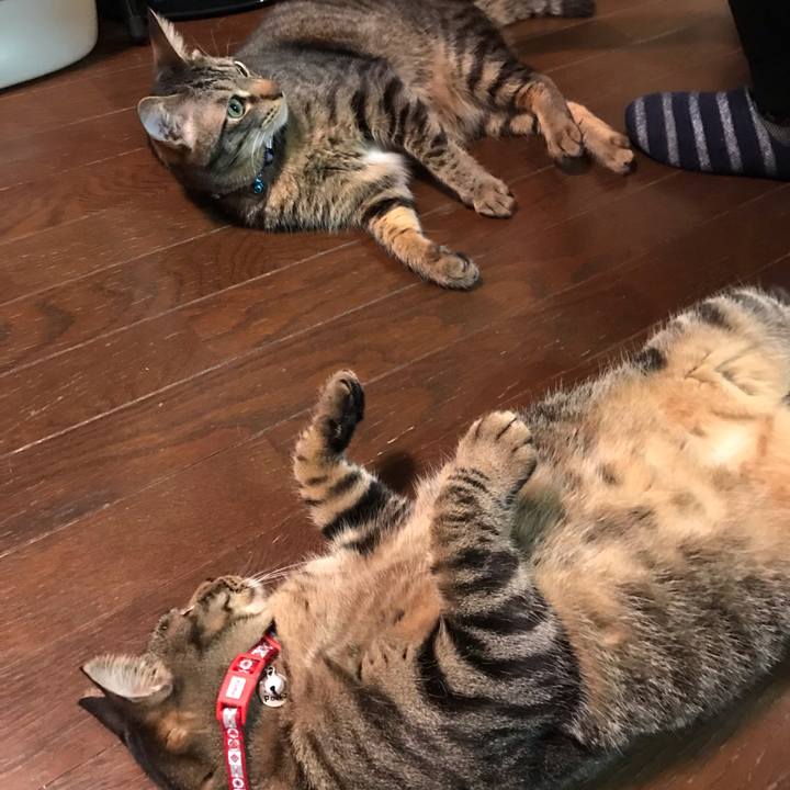 9f1644f4 5e8d 47a4 9dd0 e1937837b236 1621858550955