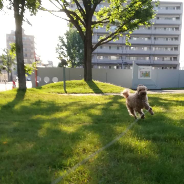 9f168551 e623 42e1 83bf d08f46e058dd 1528237261373