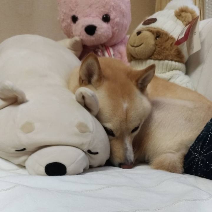 9f16fe87 8713 4563 bb8a 396393c7cac7 1569827612742