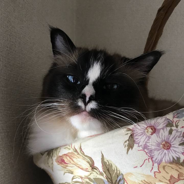 9f170ae6 0bdd 40b3 8786 b9f59d26cc47 1525156147911