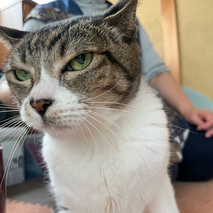 9f17236c 94ec 4725 97b5 ff42cd038b2f 1634521438514