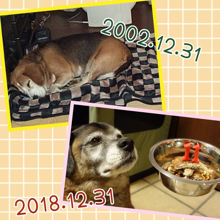 9f17696c c22f 47ed 854e bc96c9251a31 1703985823753